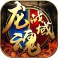 武之魅影之龙魂战域