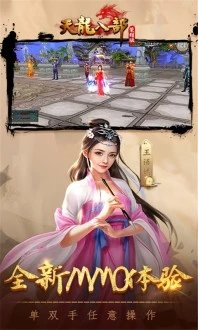 天龙八部荣耀加强版0