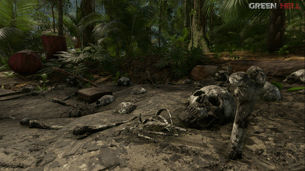 亚马逊雨林生存法则0