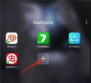 dualspacepro