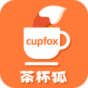 cupfox茶杯狐