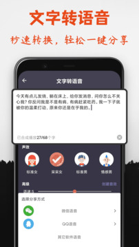 专业变声器20241