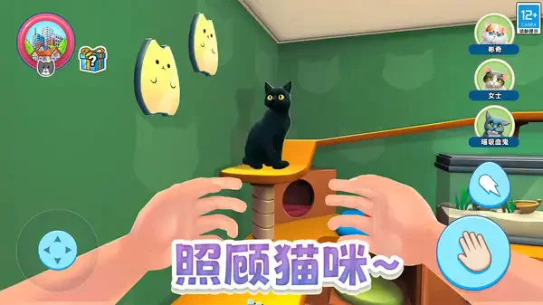 瞌睡猫玩乐时间3