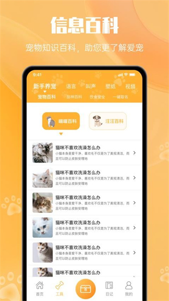 猫翻译2