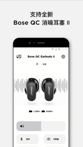 bose1