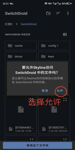 skyline模拟器2024最新版