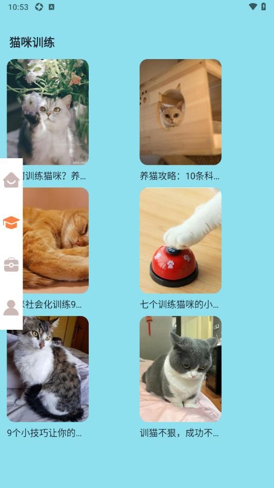 密聊猫咪