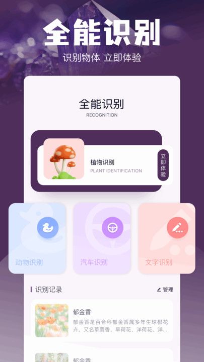 Magi工具箱2