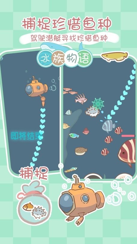 水族物语大鱼缸0