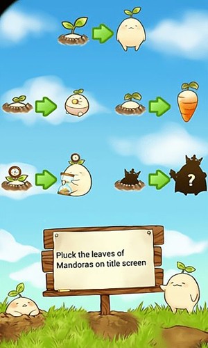 mandora1