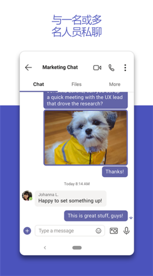 Microsoft Teams2