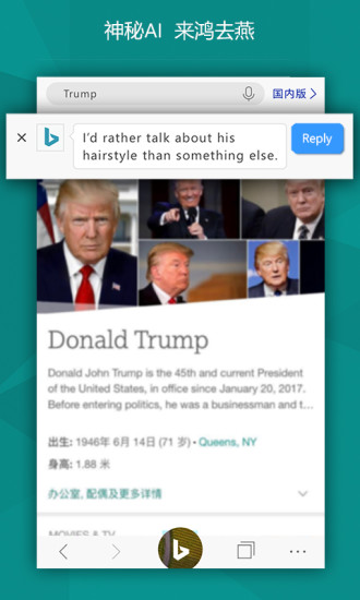 微软bing搜索国际版1