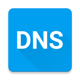 pure dns v1.0.1