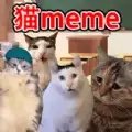 猫meme搞怪冒险