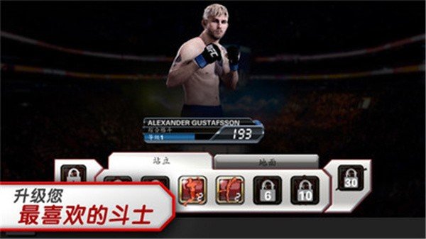 ufc终极格斗冠军赛