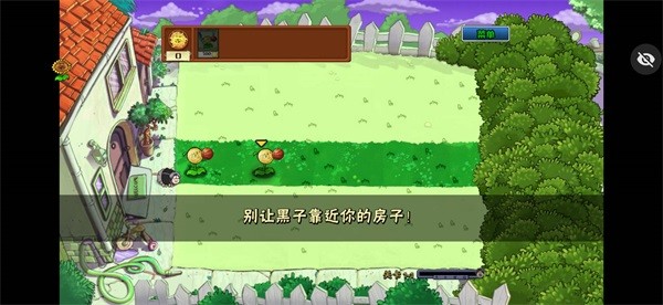 植物大战僵尸ikun大战黑子版2