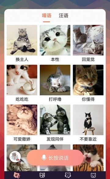 猫语互译0