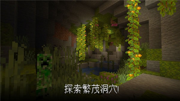 minecraft国际版基岩版0