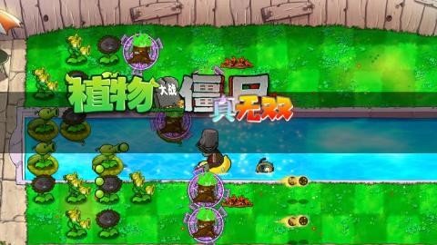 植物大战僵尸真无双版新版本1