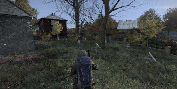 dayz0