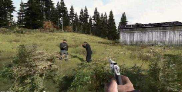 dayz1