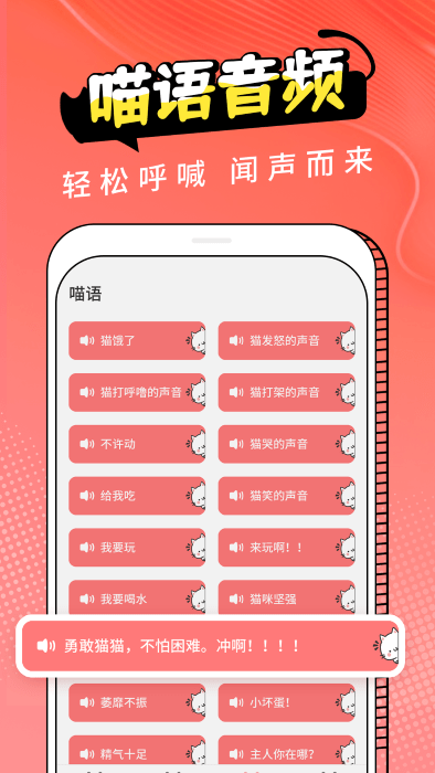 图饰猫翻译2