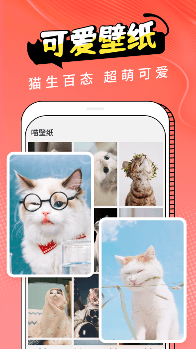 图饰猫翻译3