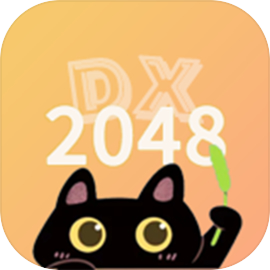 2048DX