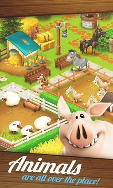 hay day0