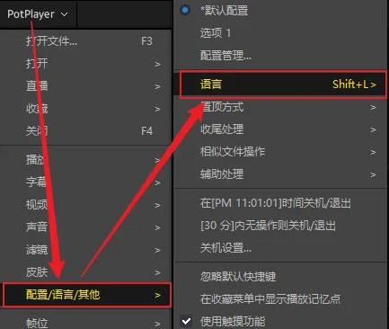 potplayer播放器TV版7