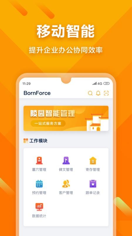 BornForce1