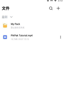 PikPak2