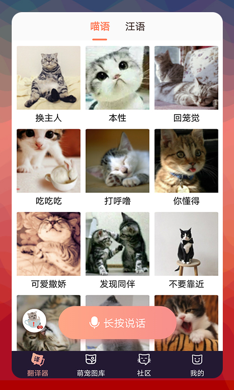 猫语翻译器中文版2