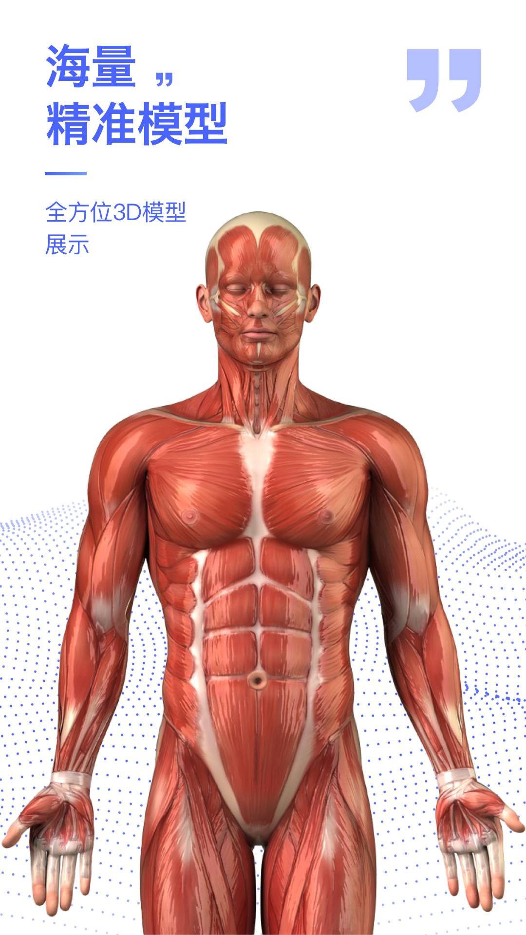 解剖学图谱0