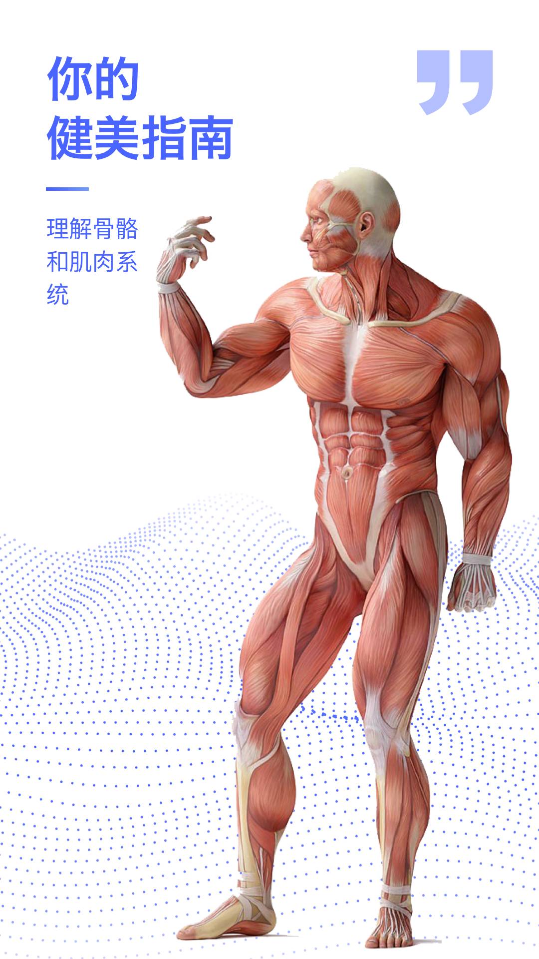解剖学图谱1