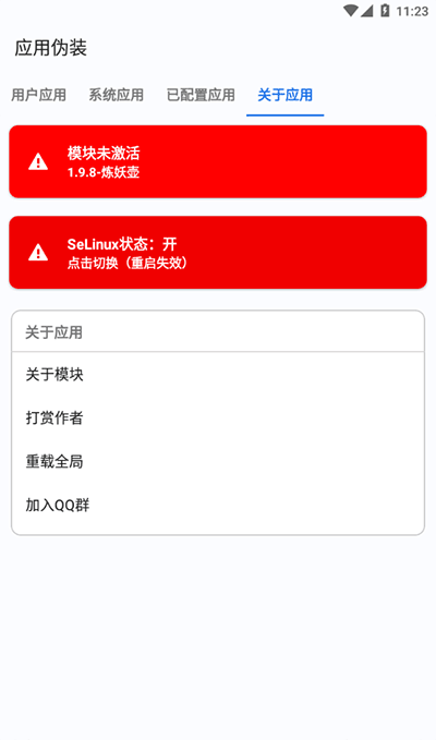 应用伪装20241