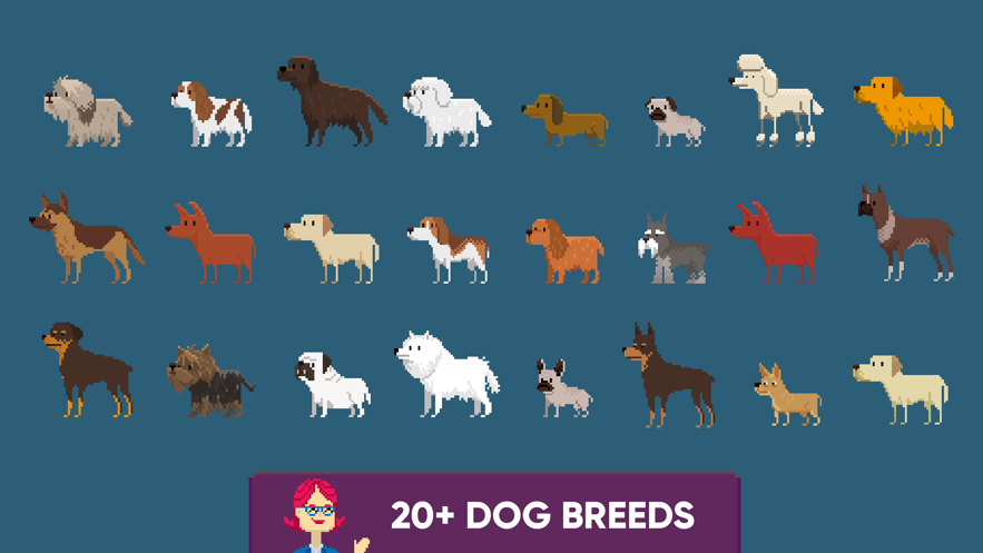 狗狗收容所救援1