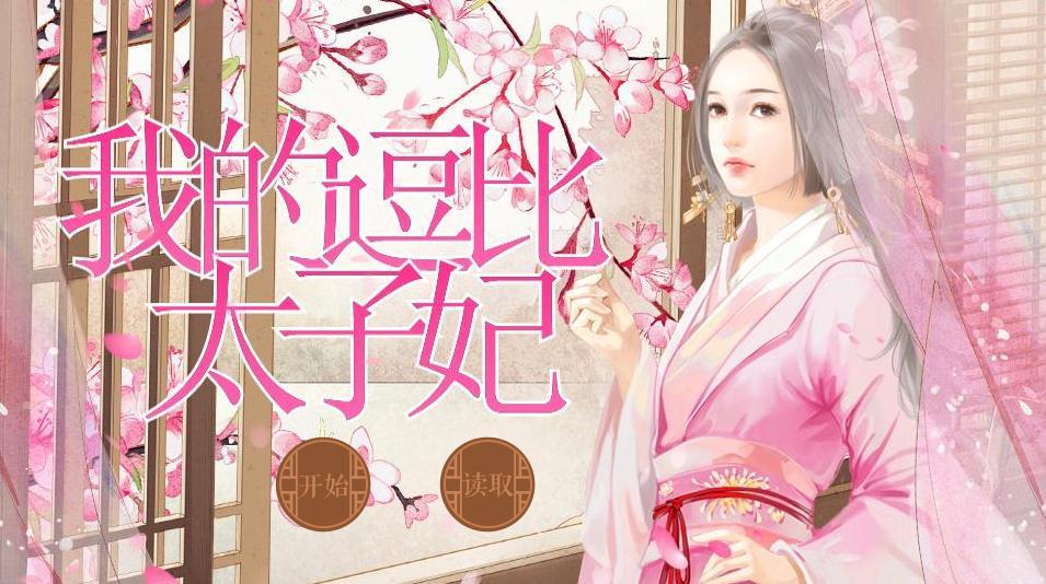 我的逗比太子妃3