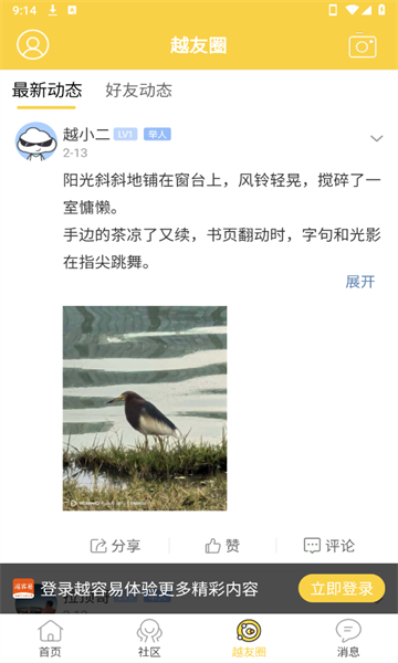 越容易3