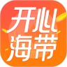 开心海带