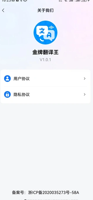 金牌翻译王2
