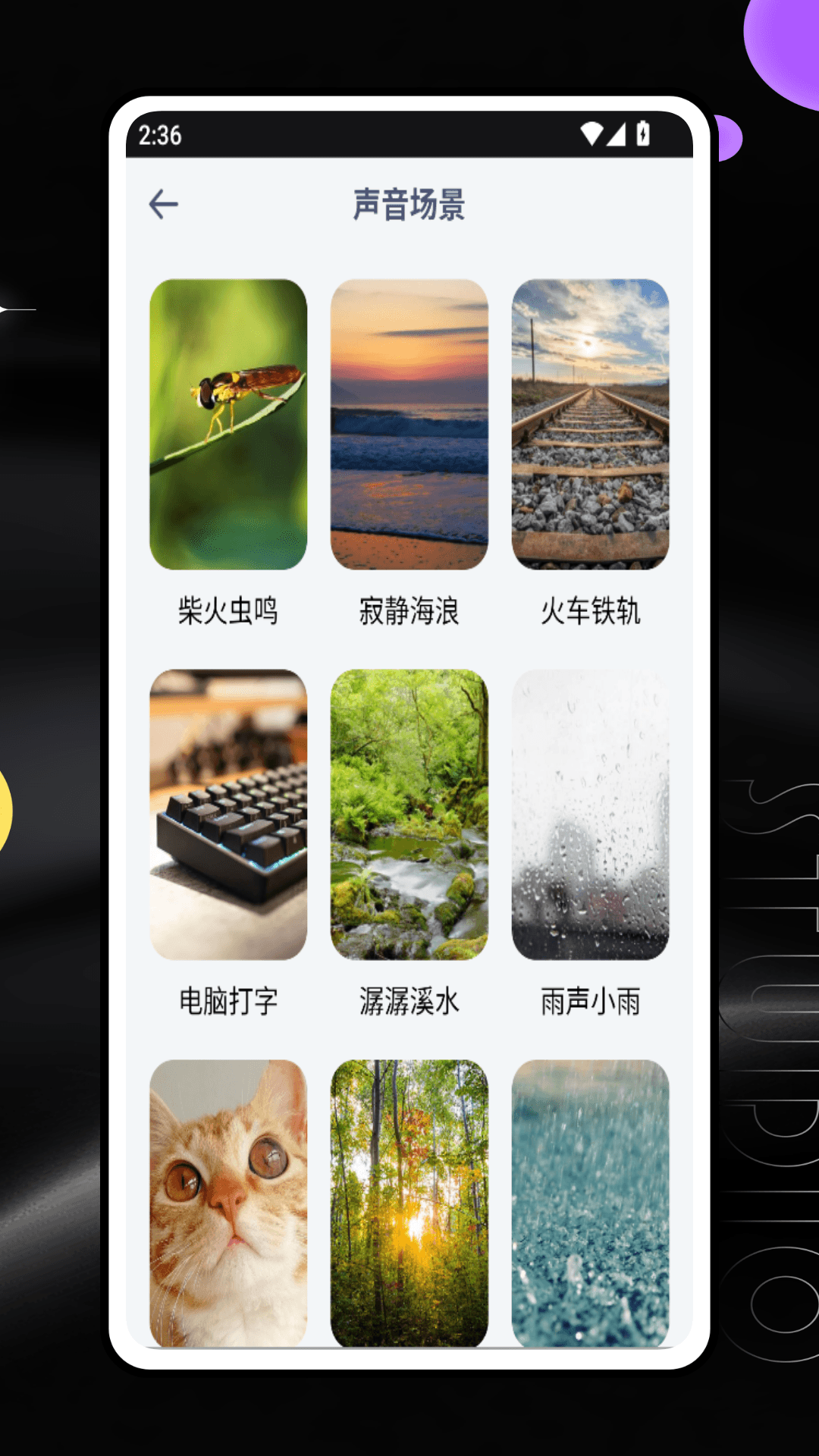 每日番茄1
