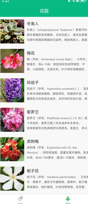 爱米花园3
