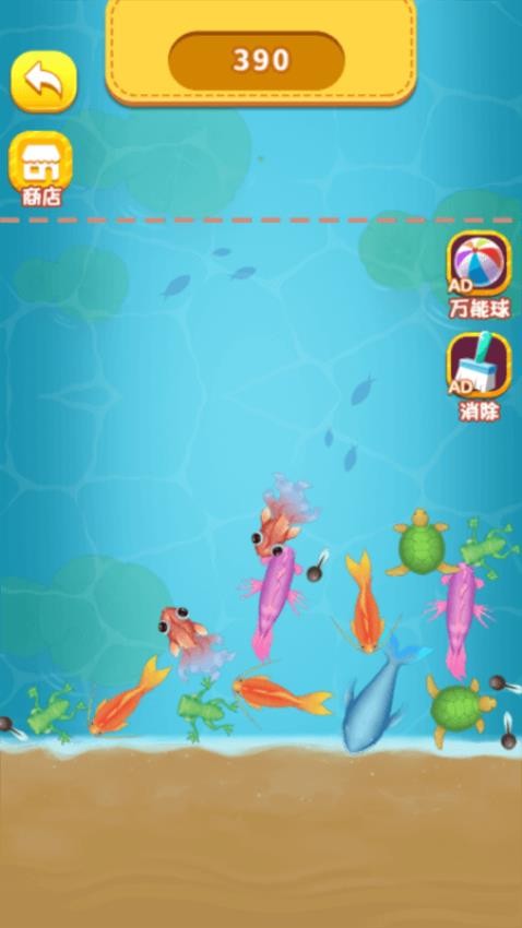 小鱼成龙计