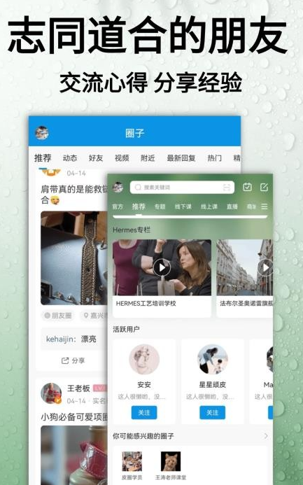皮圈2