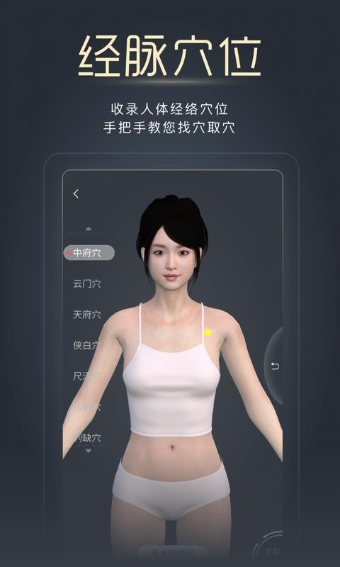 经脉宝3