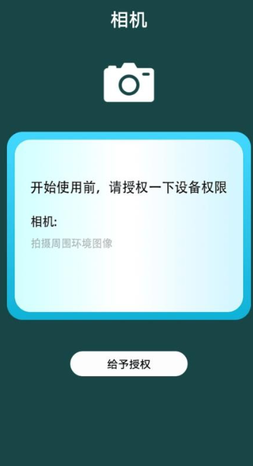 海鸥纸1