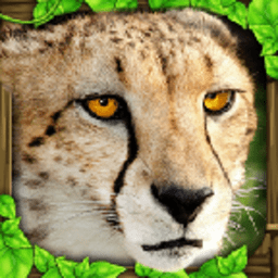 猎豹模拟器(Cheetah Sim)