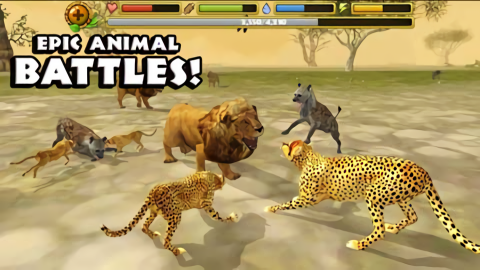 猎豹模拟器(Cheetah Sim)0