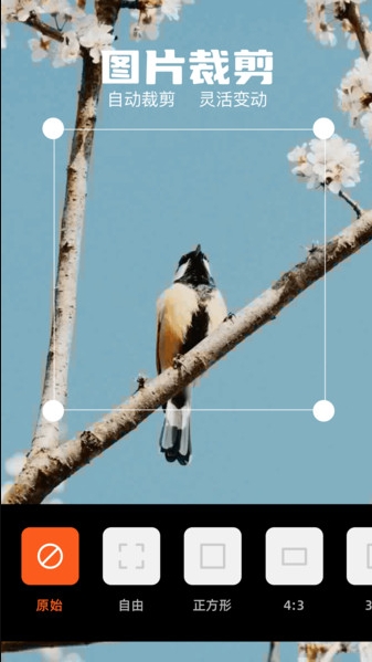 TeleMessaGram0